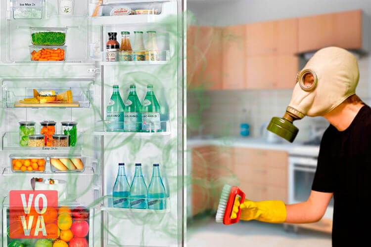 Как убрать запах из холодильника после протухшего мяса