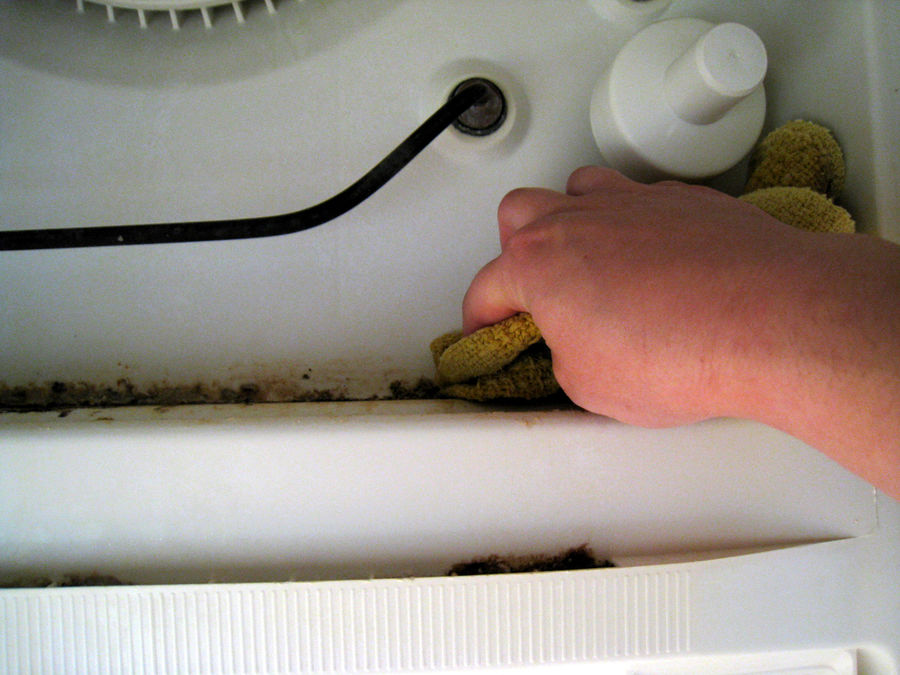 Почему пахнет из посудомоечной машины
